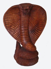 Kobra cca 20 cm