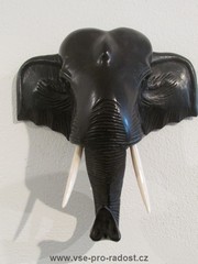 Sloní hlava